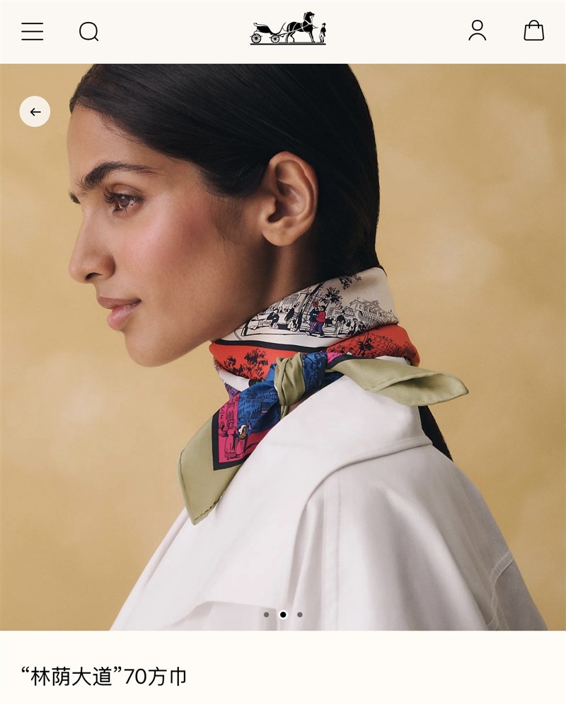 Hermes Scarves wholesale