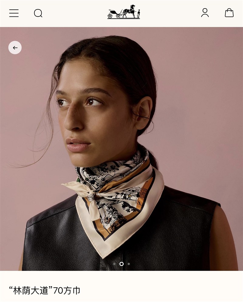 Hermes Scarves wholesale