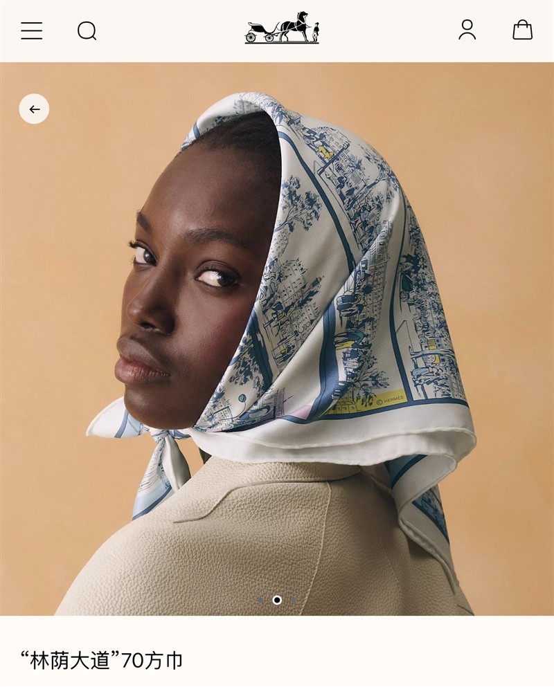 Hermes Scarves wholesale