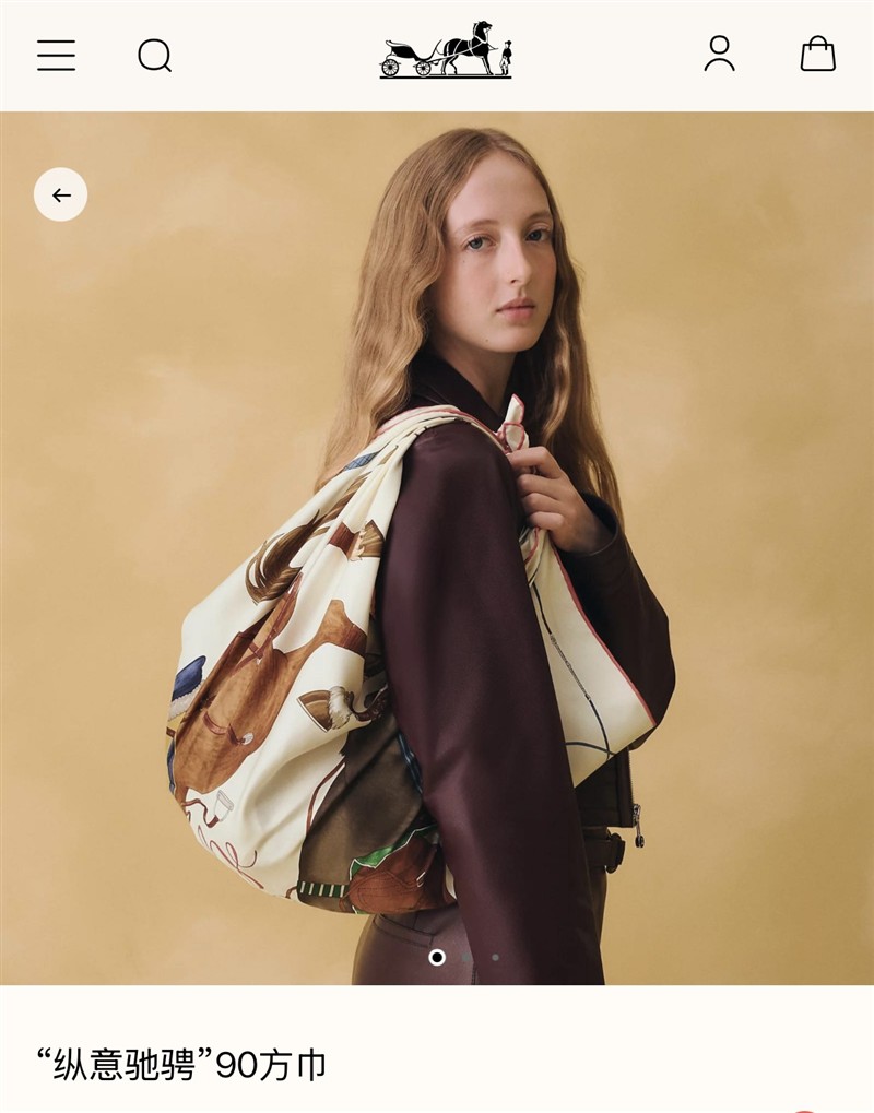 Hermes Scarves wholesale