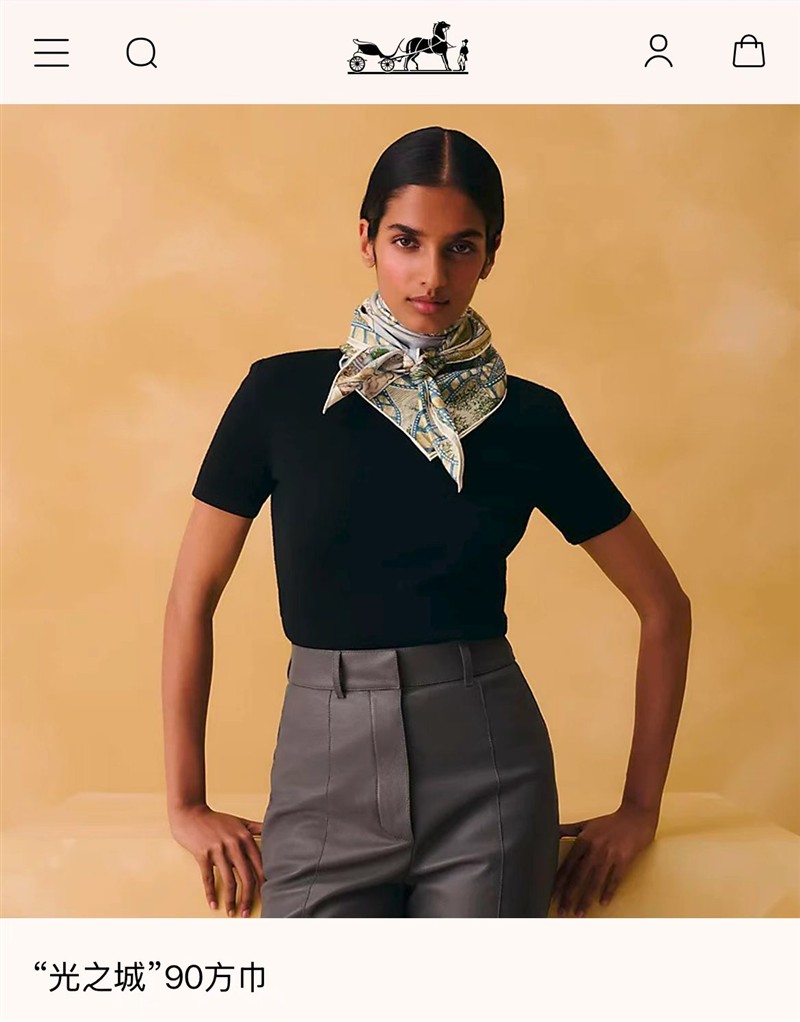 Hermes Scarves wholesale