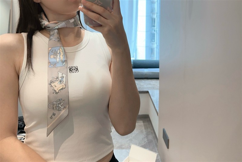 Hermes Scarves wholesale